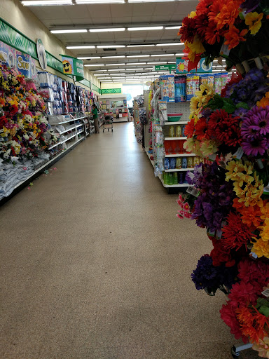 Dollar Store «Dollar Tree», reviews and photos, 2318 Monument Blvd, Pleasant Hill, CA 94523, USA