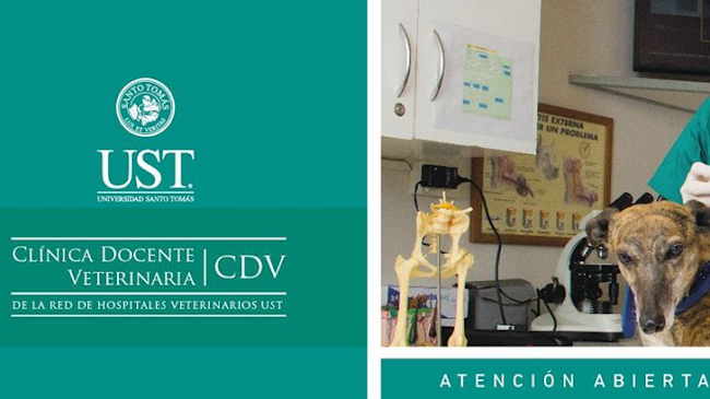 Hospital Clínico Veterinario Docente UST - Talca