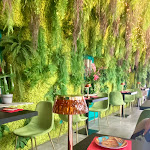 Photo n°1 de l'avis de Andrea.i fait le 30/07/2023 à 15:12 sur le  Botanico Bergamo à Bergamo