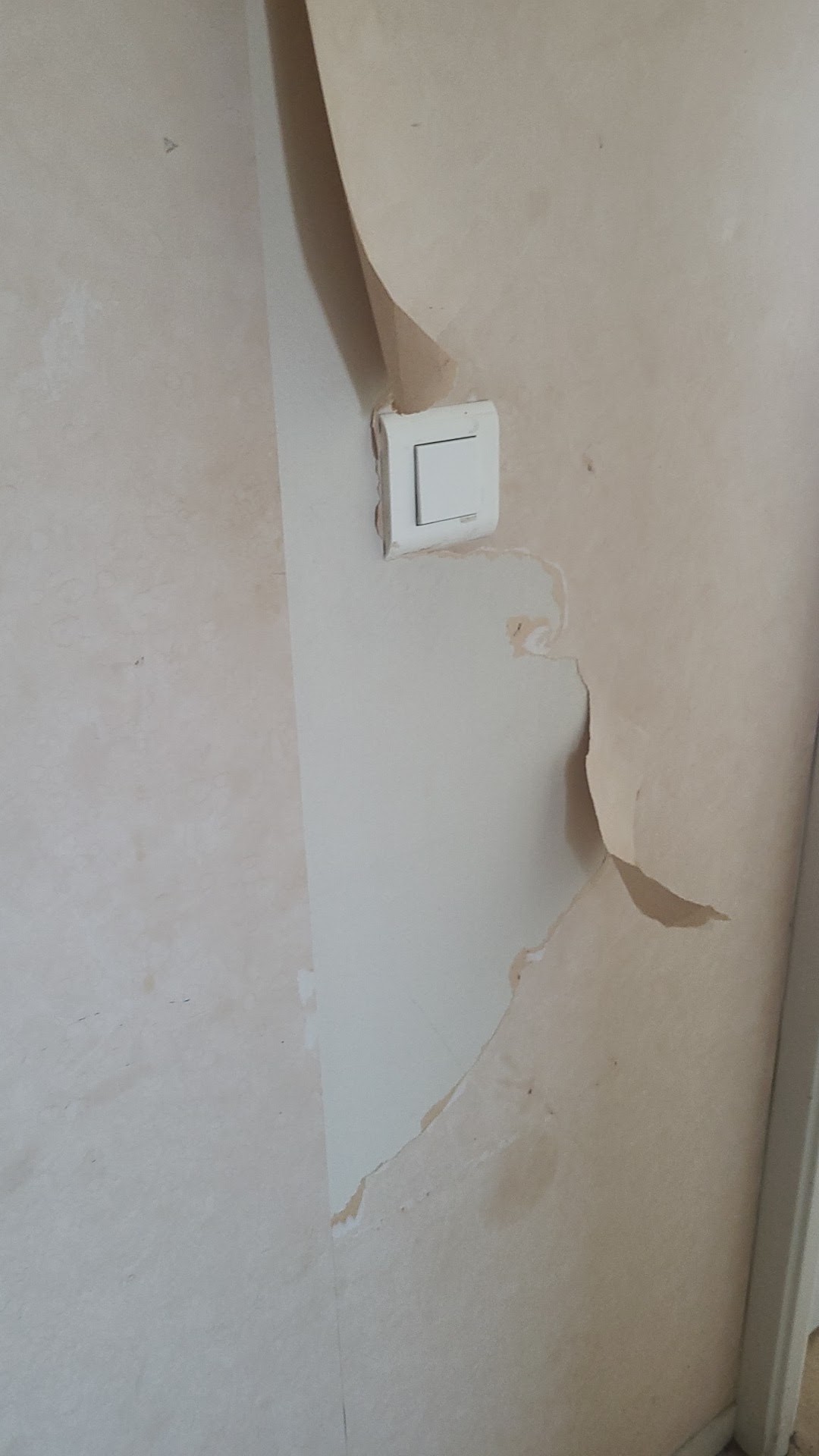 Photo n° 1 de l'avis de Osaus.a fait le 11/08/2023 à 11:39