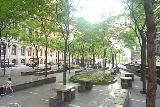 Tourist Attraction «Sussex County Sunflower Maze», reviews and photos, 101 Co Rd 645, Sandyston, NJ 07826, USA