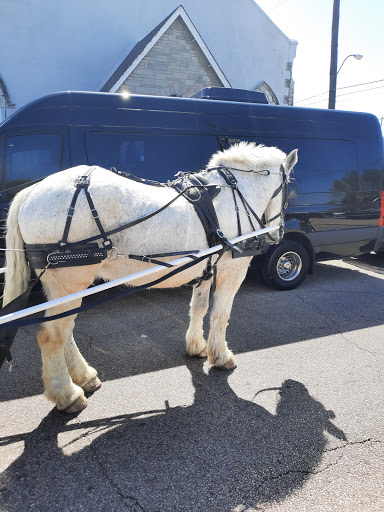 Event Venue «The Renaissance», reviews and photos, 1588 Madison Ave, Memphis, TN 38104, USA