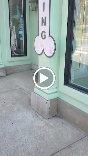 Pet Groomer «Doggie Style Bowtique», reviews and photos, 1713 Westport Rd, Kansas City, MO 64111, USA