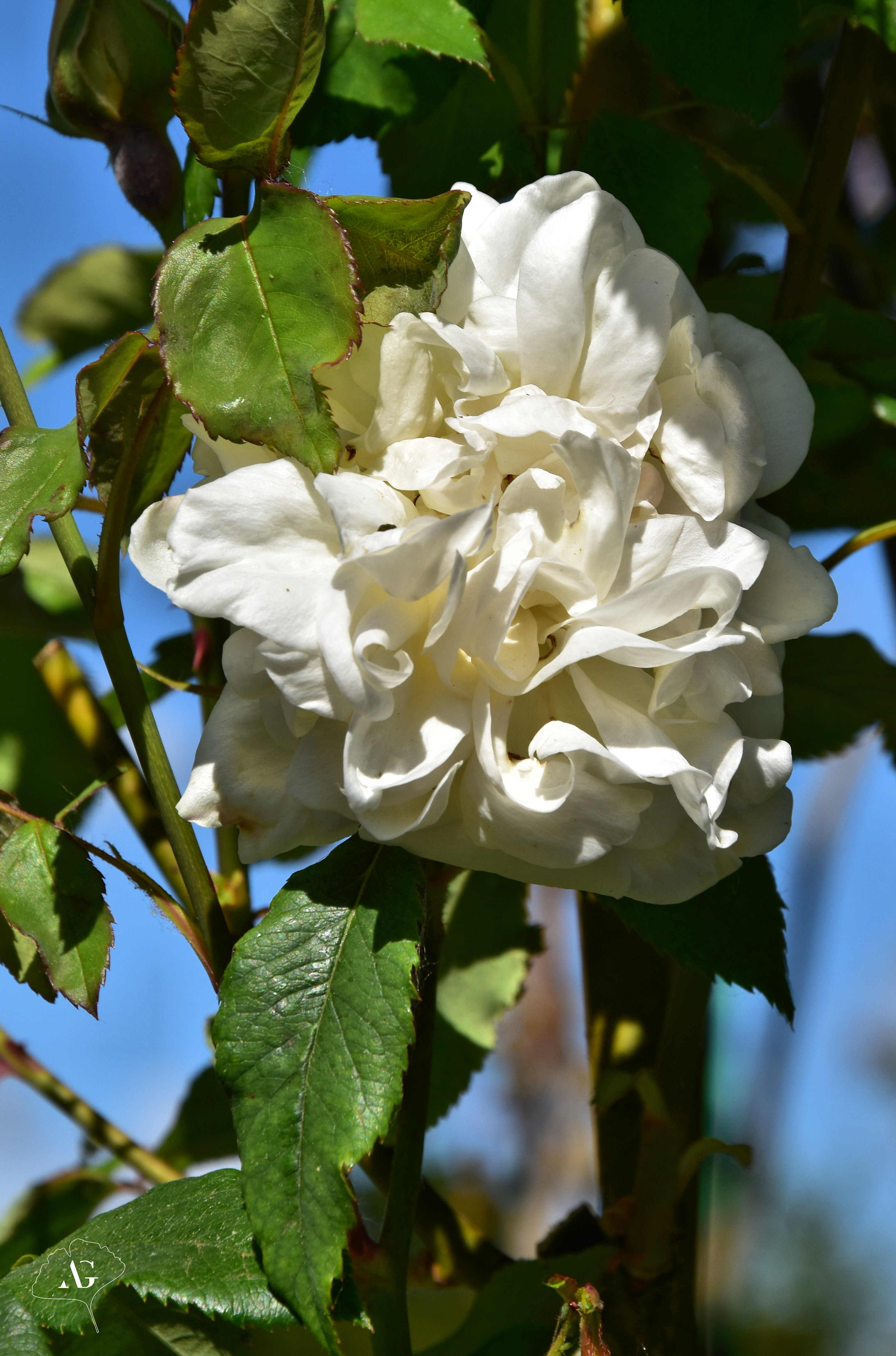 Photo n° 24 de l'avis de Audrey.. fait le 17/05/2022 à 09:49