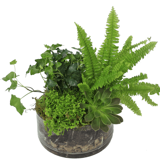 Florist «Ashland Addison Florist», reviews and photos, 3118 N Lincoln Ave, Chicago, IL 60613, USA