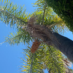 Photo n°5 de l'avis de Sorina.m fait le 24/07/2022 à 12:47 sur le  Hotel Caesar Palace à Naxos