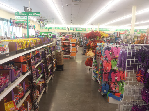 Dollar Store «Dollar Tree», reviews and photos, 16930 US-441 c, Mt Dora, FL 32757, USA