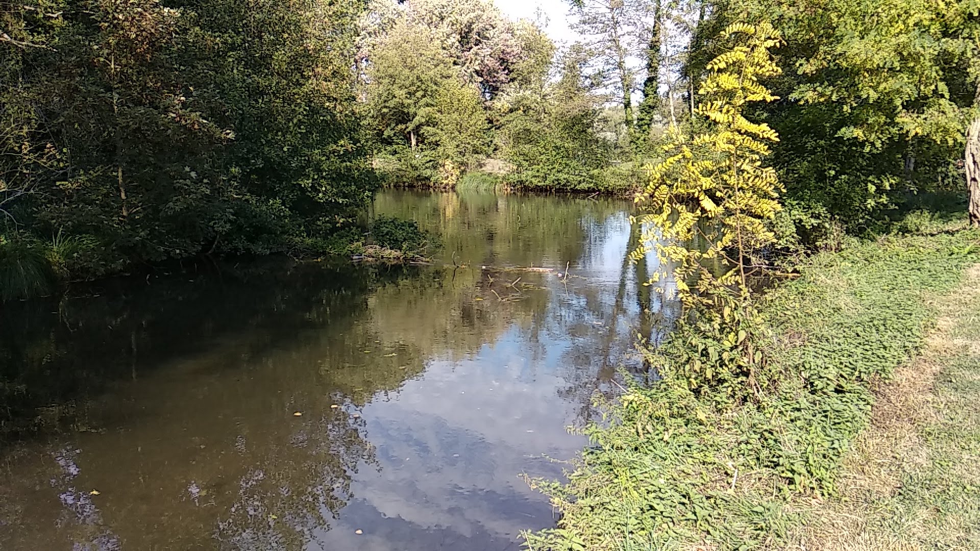 Photo n° 12 de l'avis de Timotée.r fait le 06/10/2018 à 13:14