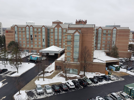 Hotel «Chicago Marriott Suites by Marriott Downers Grove», reviews and photos, 1500 Opus Pl, Downers Grove, IL 60515, USA