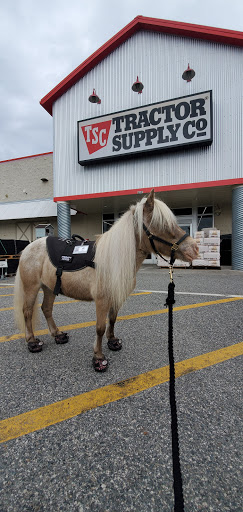 Home Improvement Store «Tractor Supply Co.», reviews and photos, 6801 Florida 50, Groveland, FL 34736, USA