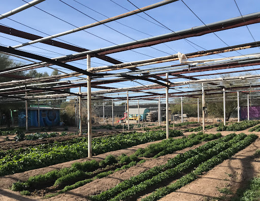 Izi Azi Foundation / Felicia’s Farm