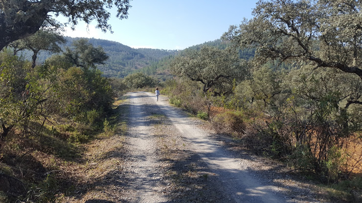 Extérieur Casa rural Cortijo de Camama 14300 Villaviciosa de Córdoba