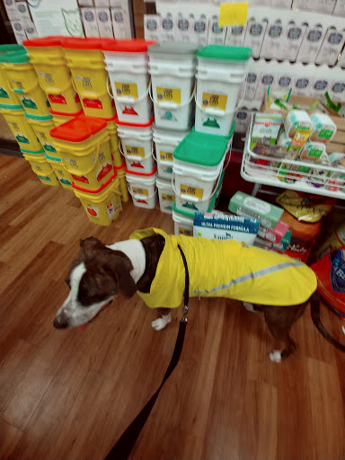 Pet Supply Store «Pet Supermarket, Inc.», reviews and photos, 18445 US-41, Lutz, FL 33549, USA