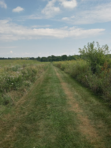 Golf Course «Lake of the Woods Golf Course», reviews and photos, 405 N Lake of the Woods Rd, Mahomet, IL 61853, USA