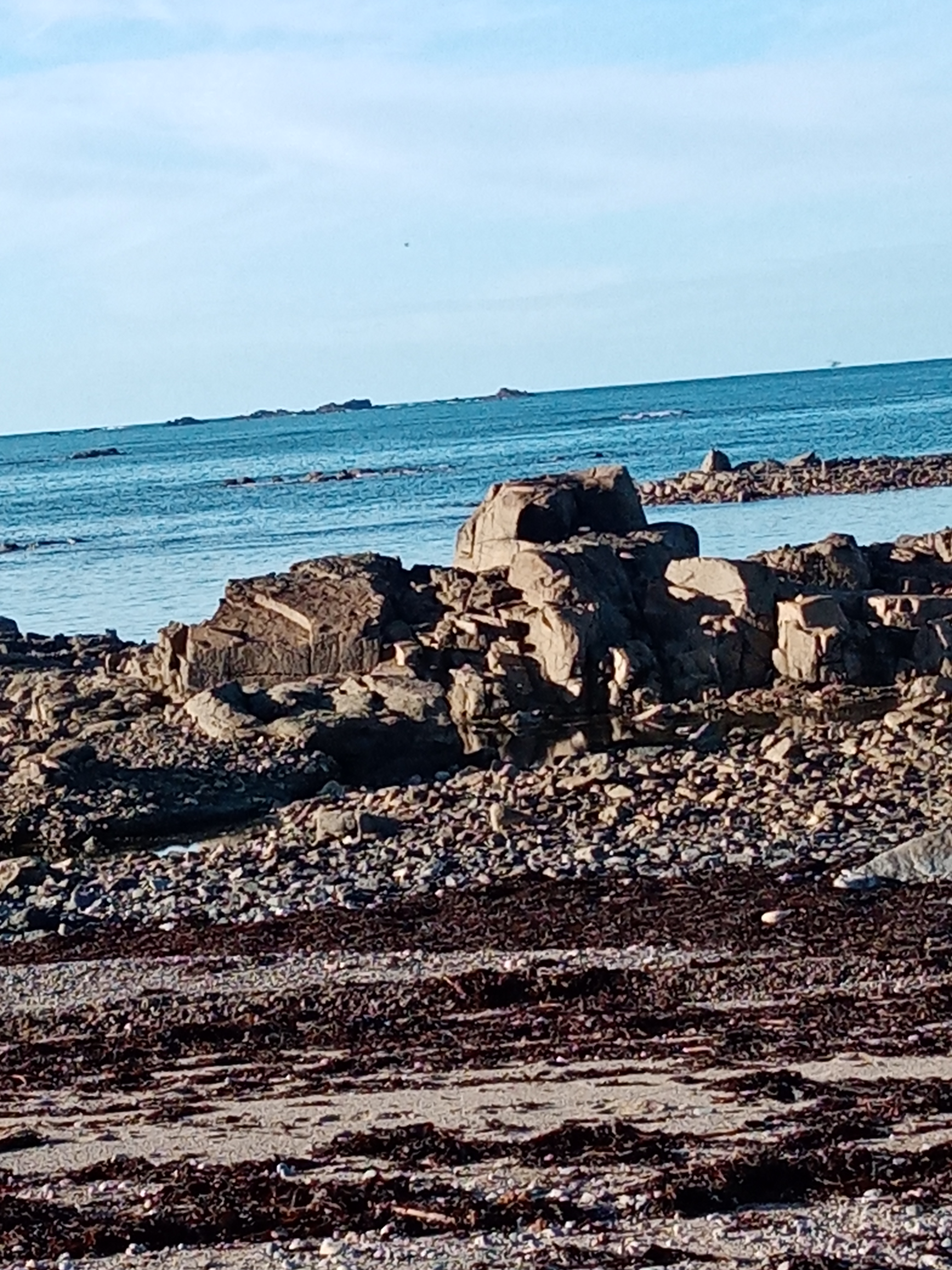 Photo n° 3 de l'avis de francoise.o fait le 20/11/2023 à 11:27