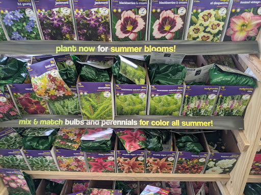 Department Store «Walmart Supercenter», reviews and photos, 802 E US Hwy 80, Forney, TX 75126, USA