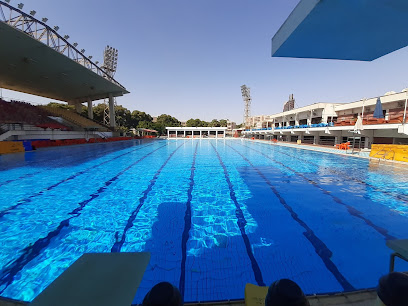 حمام سباحة جامعة اسيوط الأوليمبي