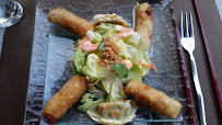 Rouleau de printemps du Restaurant vietnamien L'Indochine à Perpignan - n°4