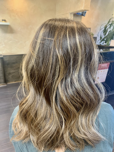 Hair Salon «Fox Hair Salon», reviews and photos, 2625 Old Denton Rd, Carrollton, TX 75007, USA