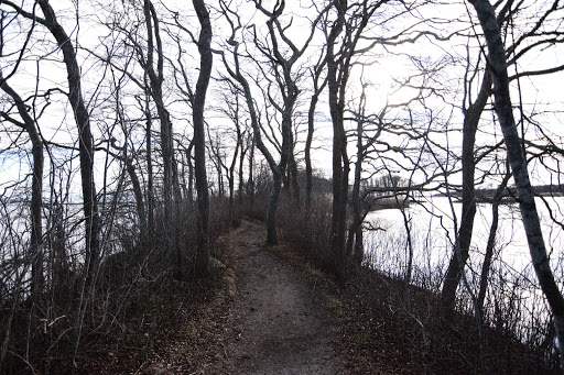 Nature Preserve «Norman Bird Sanctuary», reviews and photos, 583 3rd Beach Rd, Middletown, RI 02842, USA