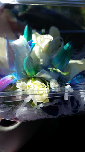 Florist «Belak Flowers», reviews and photos, 832 Philadelphia Pike, Wilmington, DE 19809, USA