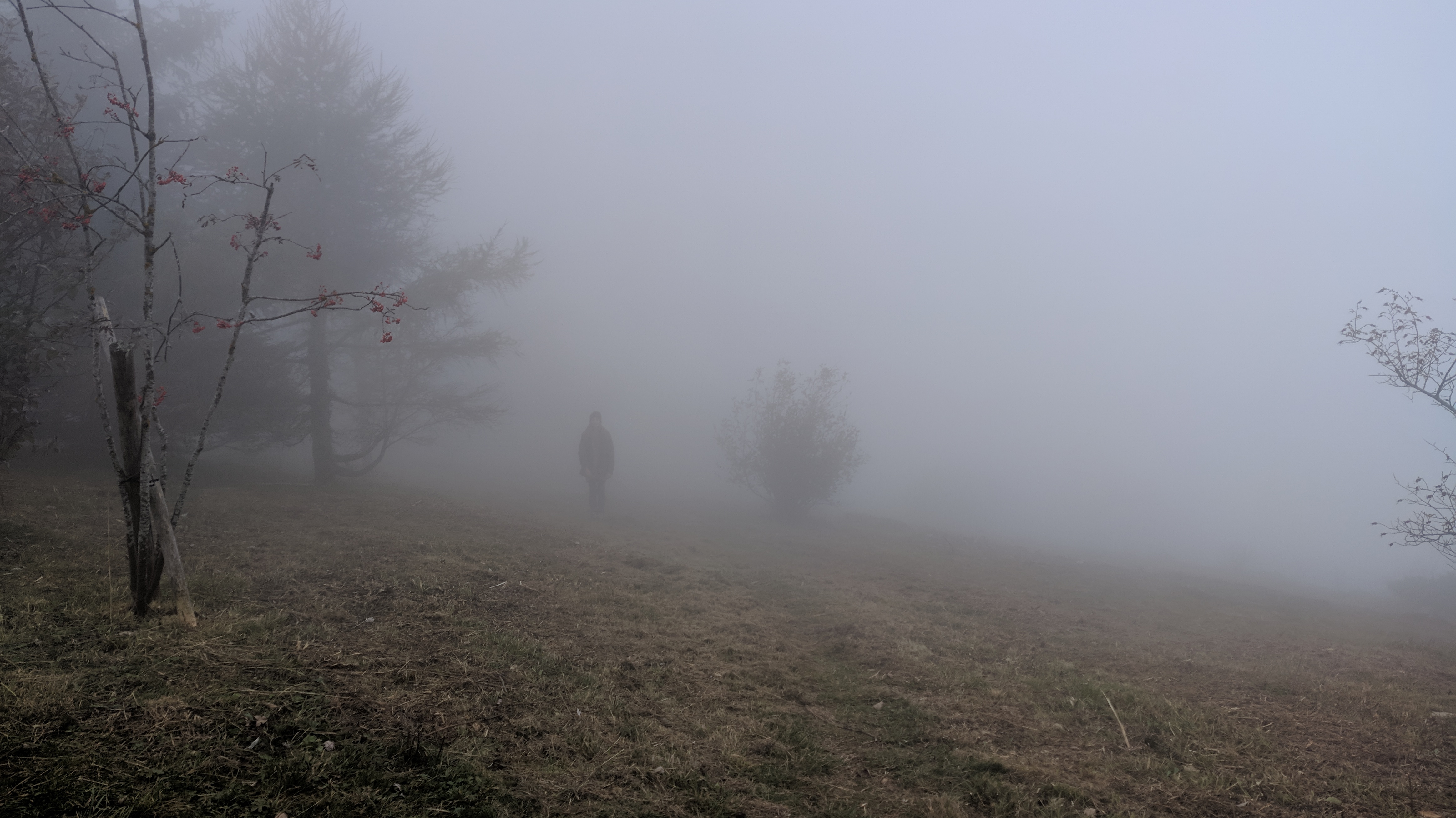 Photo n° 1 de l'avis de louis.e fait le 18/10/2020 à 14:40