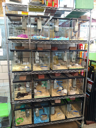 Pet Store «Pet Connection», reviews and photos, 1441 W State St, Alliance, OH 44601, USA