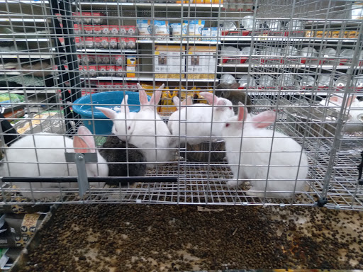 Department Store «Rural King», reviews and photos, 2960 E 10th St, Jeffersonville, IN 47130, USA