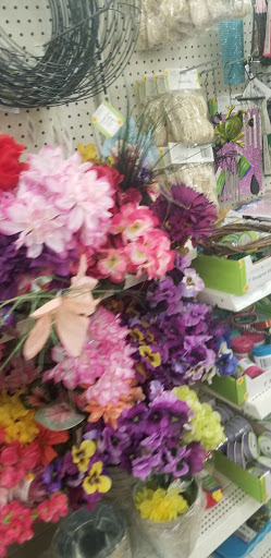 Dollar Store «Dollar Tree», reviews and photos, 912 River St Ste 100, Hyde Park, MA 02136, USA