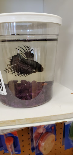 Pet Supply Store «Pet Supplies Plus», reviews and photos, 410 Springfield Ave, Berkeley Heights, NJ 07922, USA