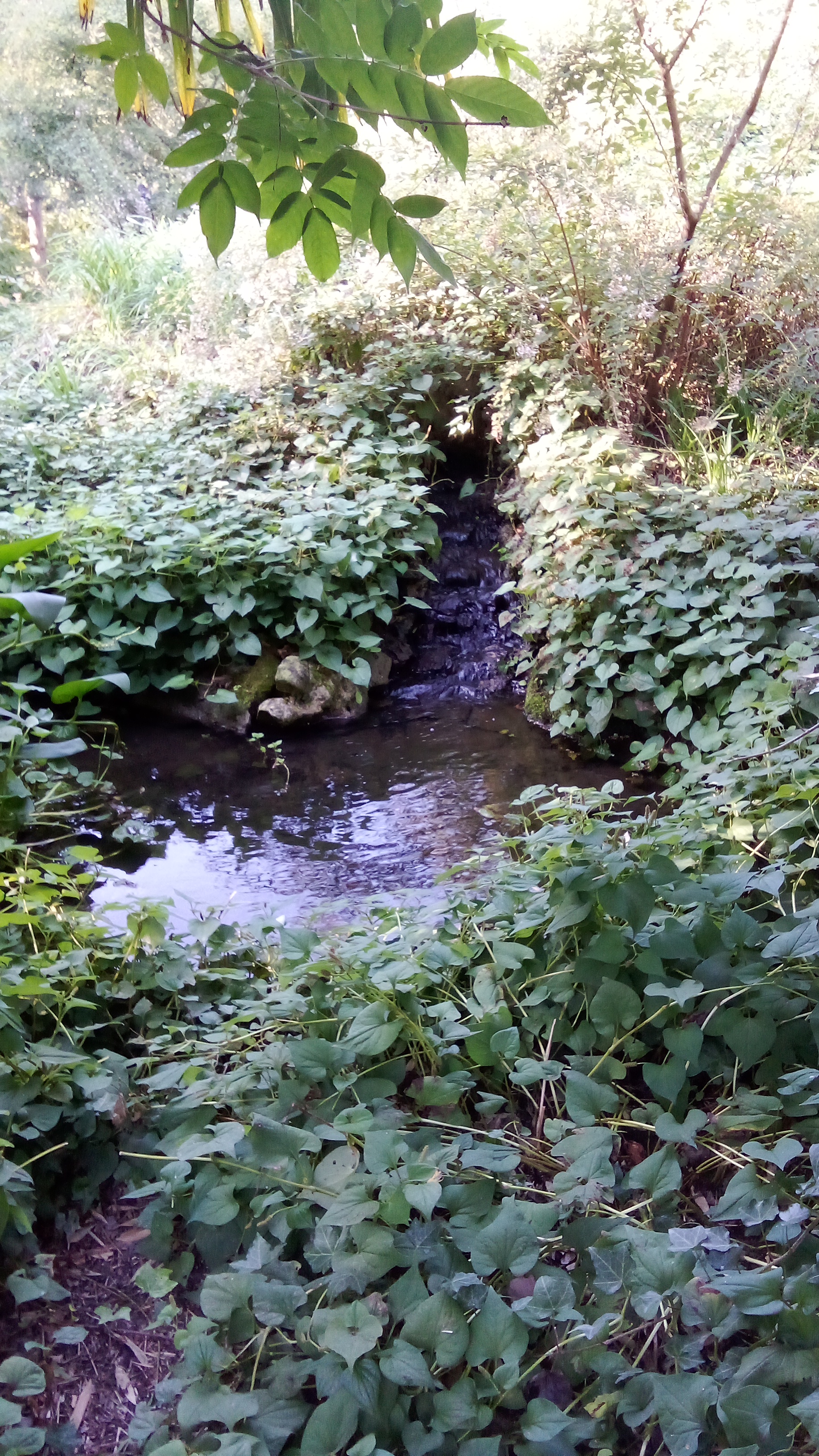 Photo n° 3 de l'avis de moel.o fait le 02/10/2023 à 17:52
