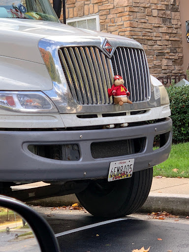 Moving and Storage Service «MOVE IN USA LLC», reviews and photos, 11201 Dolfield Blvd #111, Owings Mills, MD 21117, USA