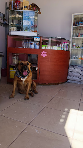Hospital Veterinario Animalia