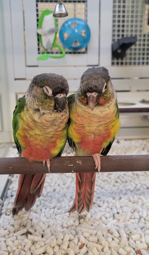 Pet Supply Store «PetSmart», reviews and photos, 7600 Edinger Ave, Huntington Beach, CA 92647, USA