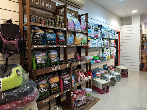 Incondicional Castellón - Castellón de la Plana