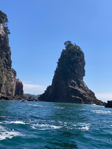 Comments and reviews of Cave Cruzer Boat Tours