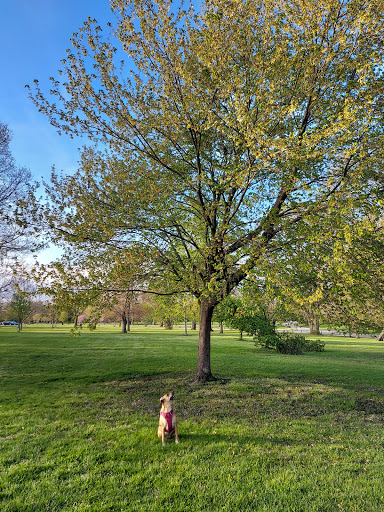 Park «Wolfe Park», reviews and photos, 105 Park Dr, Columbus, OH 43209, USA