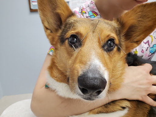 Vital Animal Veterinary Clinic image