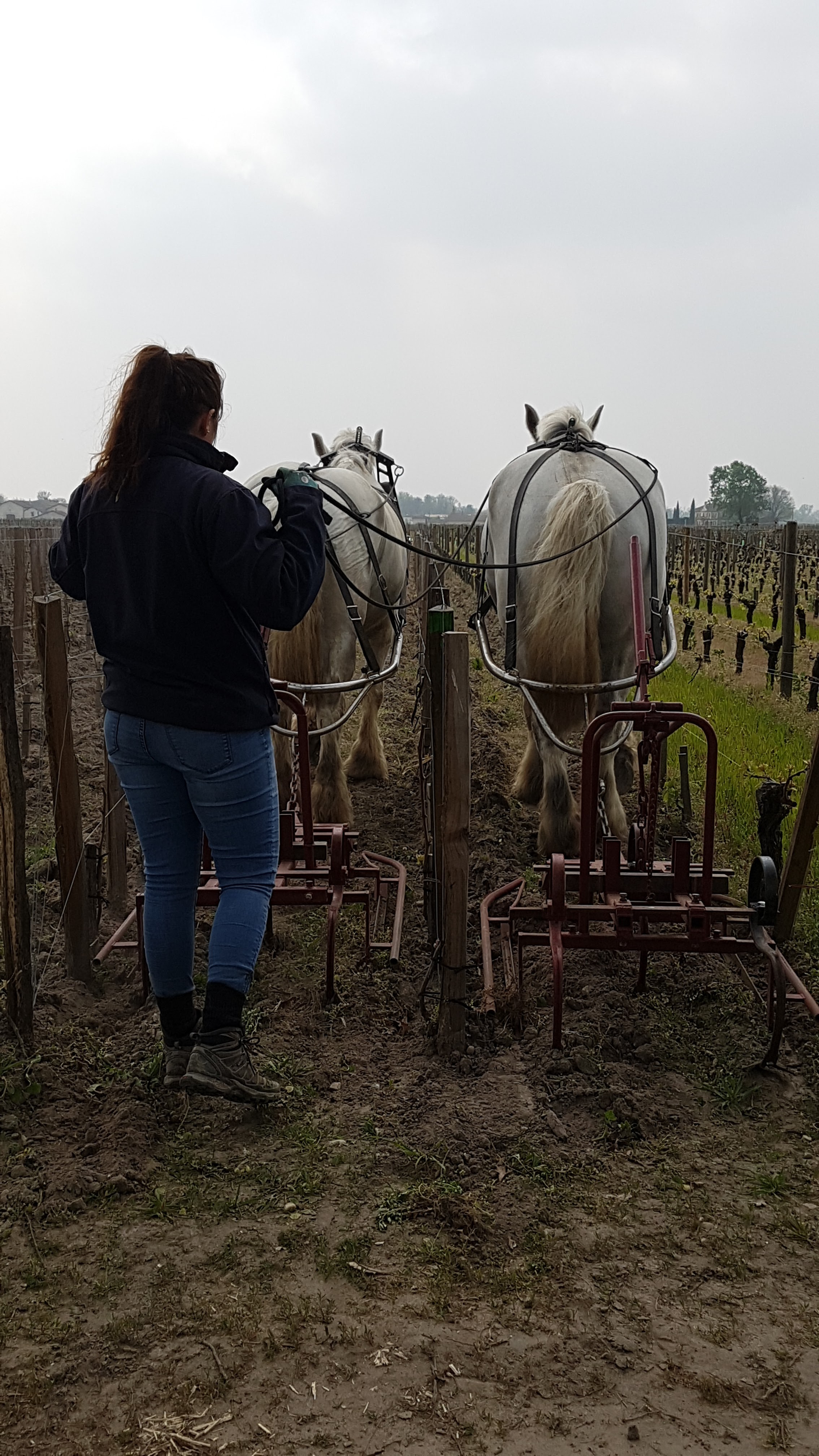 Photo n° 17 de l'avis de Luana.a fait le 02/04/2019 à 21:50