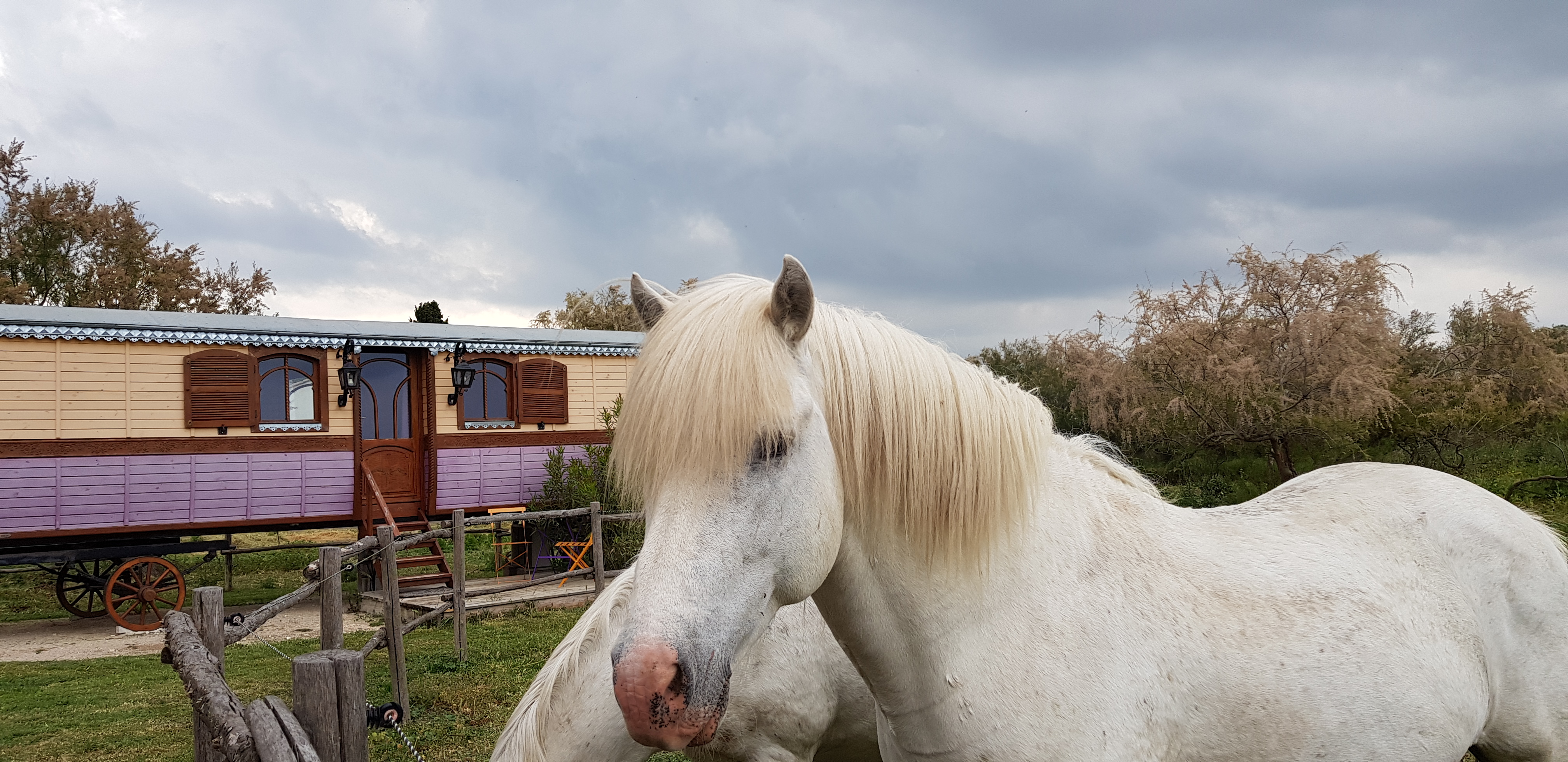 Photo n° 1 de l'avis de Patrice.. fait le 18/05/2019 à 11:57
