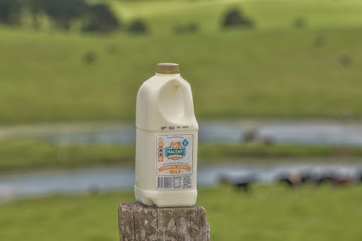 Sommer's Dairy FarmⓂ