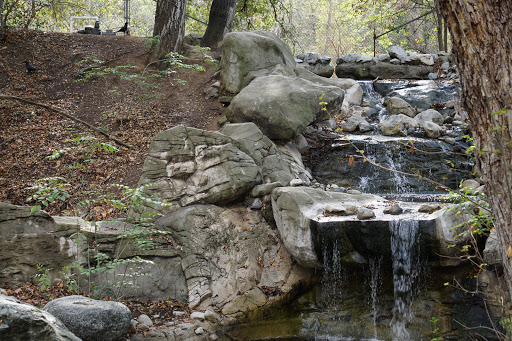 Descanso Gardens image