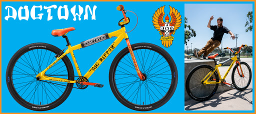 Bicycle Store «North Shore Cycle», reviews and photos, 251 Western Ave, Lynn, MA 01904, USA