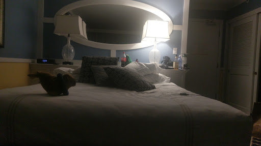 The Portofino Hotel & Marina image