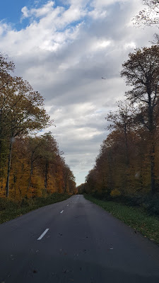 Office National des Forêts (O.N.F) à Saint-Nicolas-lès-Cîteaux