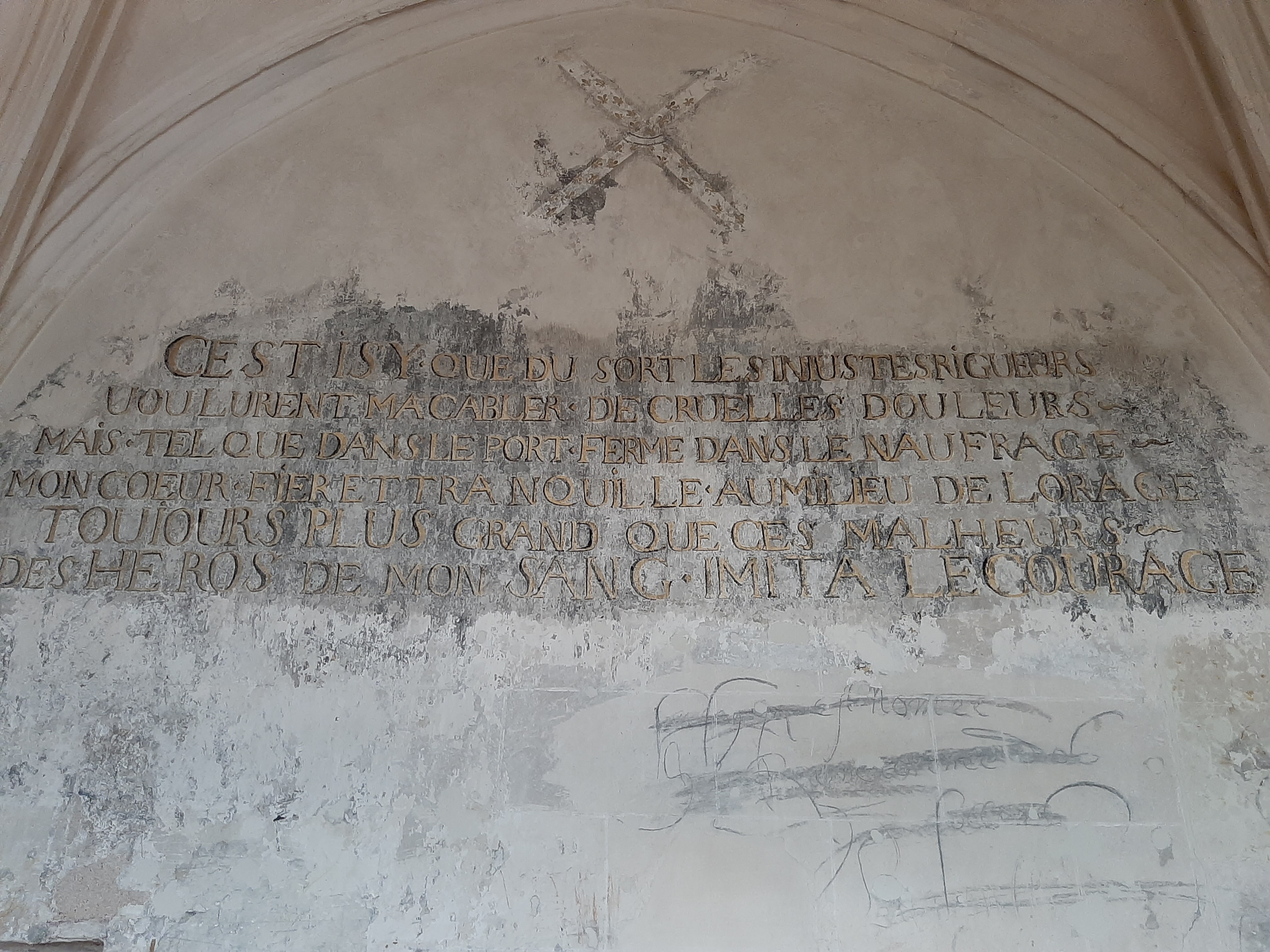 Photo n° 38 de l'avis de Olive.. fait le 26/04/2022 à 19:12