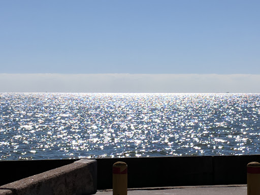 Aquarium «The Aquarium at Rockport Harbor, Inc.», reviews and photos, 706 Navigation Cir, Rockport, TX 78382, USA