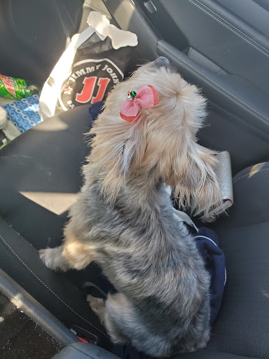 Pet Supply Store «PetSmart», reviews and photos, 1759 Apalachee Pkwy, Tallahassee, FL 32301, USA