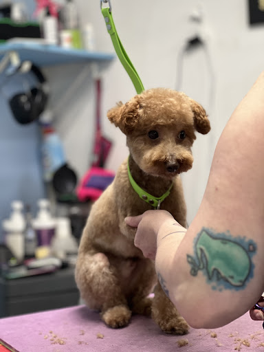 Here, Doggy image