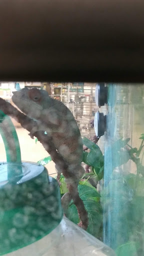 Pet Supply Store «Petco Animal Supplies», reviews and photos, 26 Coliseum Crossing, Hampton, VA 23666, USA